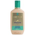 Aneethun Creme de Silicone Linha A Cachos Ondas e Crespos - 250ml