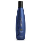 Aneethun Linha A Shampoo Silicone Com Tutano e Queratina - 300ml