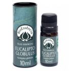 BioEssência Óleo Essencial de Eucalipto Globulus - 10ml