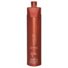 Perfect Liss Visat Control Revitalizing Shampoo Step 1 - 1Litro