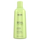 Richée Professional Soul Cachos Ativador - 500ml